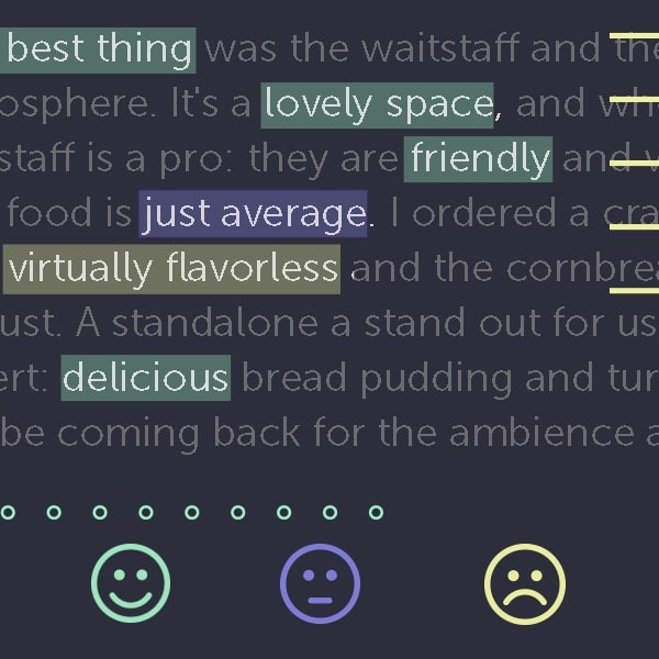 Sentiment Analysis of text data, for AI in Government applications