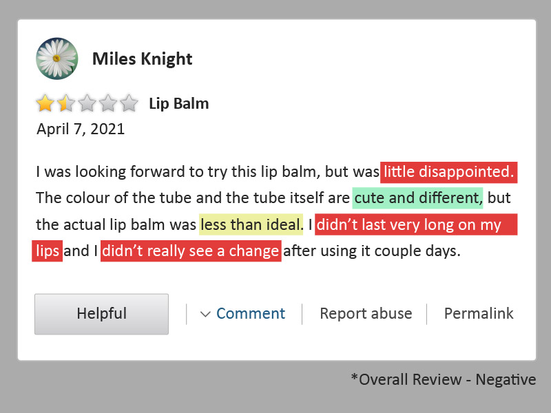 Feedback and review from customers, a sentiment analysis case study