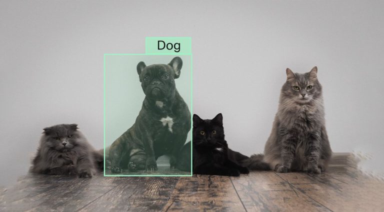 Top 13 Image Classification Datasets for Machine Learning