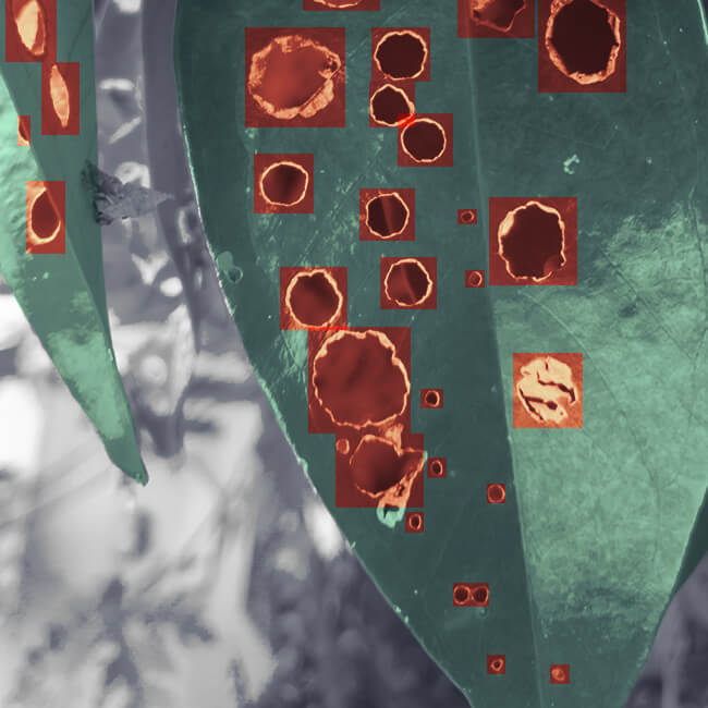 iMerit Computer Vision experts use rectangular box annotation to localize entities