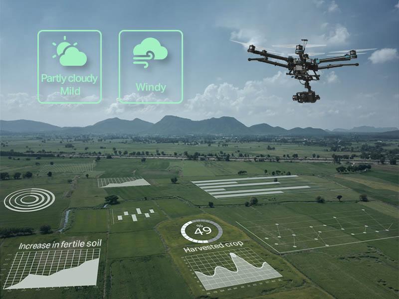 Create larger harvest yields with computer vision