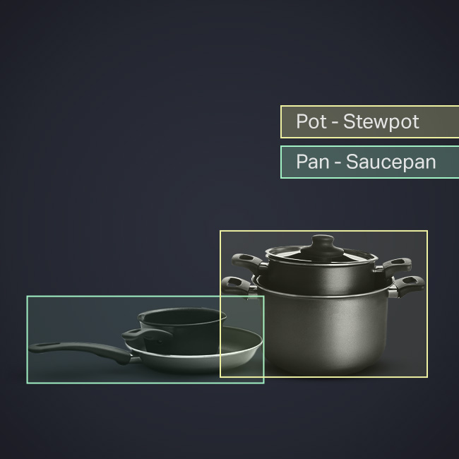 Taxonomy categorization