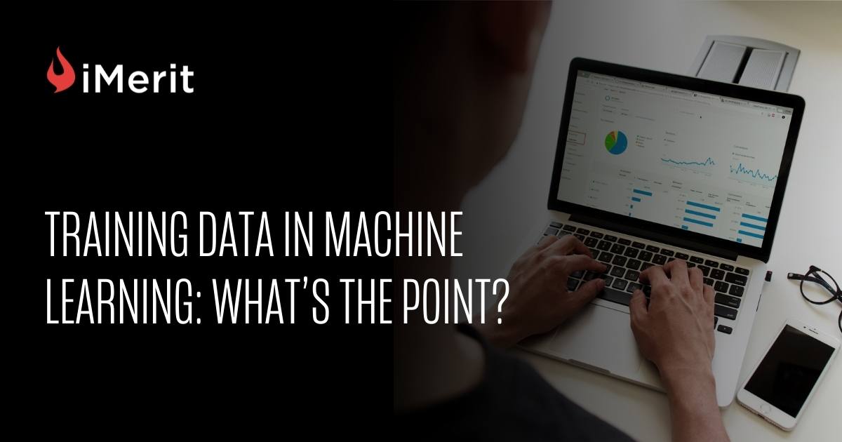The Importance of Training Data in Machine Learning