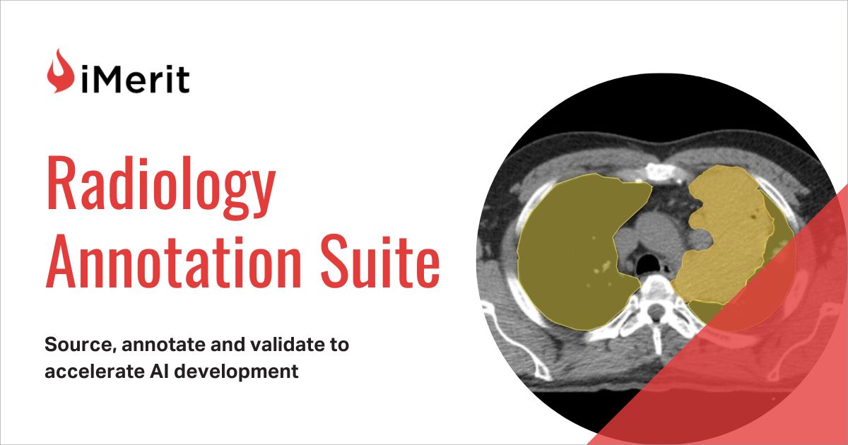 iMerit Radiology Annotation Suite Medical Imaging Annotation iMerit