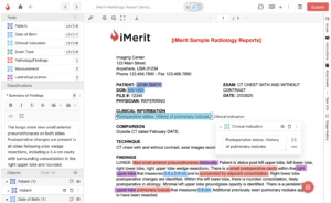 Radiology report annotated with patient information, clinical findings, and measurements using the Ango Hub medical labeling platform