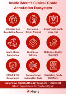 Inside iMerit’s Clinical-Grade Annotation Ecosystem” Image: Dashboard showing AI-assisted medical image annotation workflow