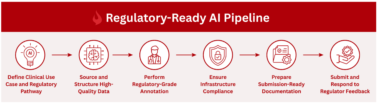 Regulatory-ready AI pipeline illustrating key steps from data to documentation.