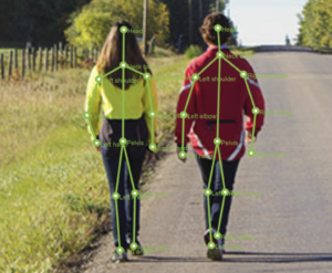 Skeleton annotation tool interface showing defined keypoints and connections for building a structured labeling template.