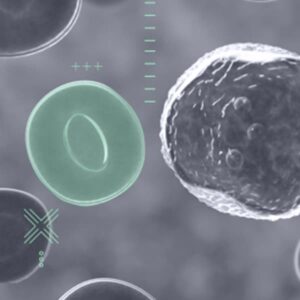 Pixel-level segmentation of biological cells for pathological analysis and grading.